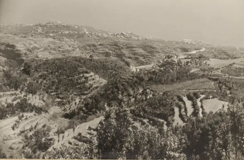 Panorámica de Los Sauces.